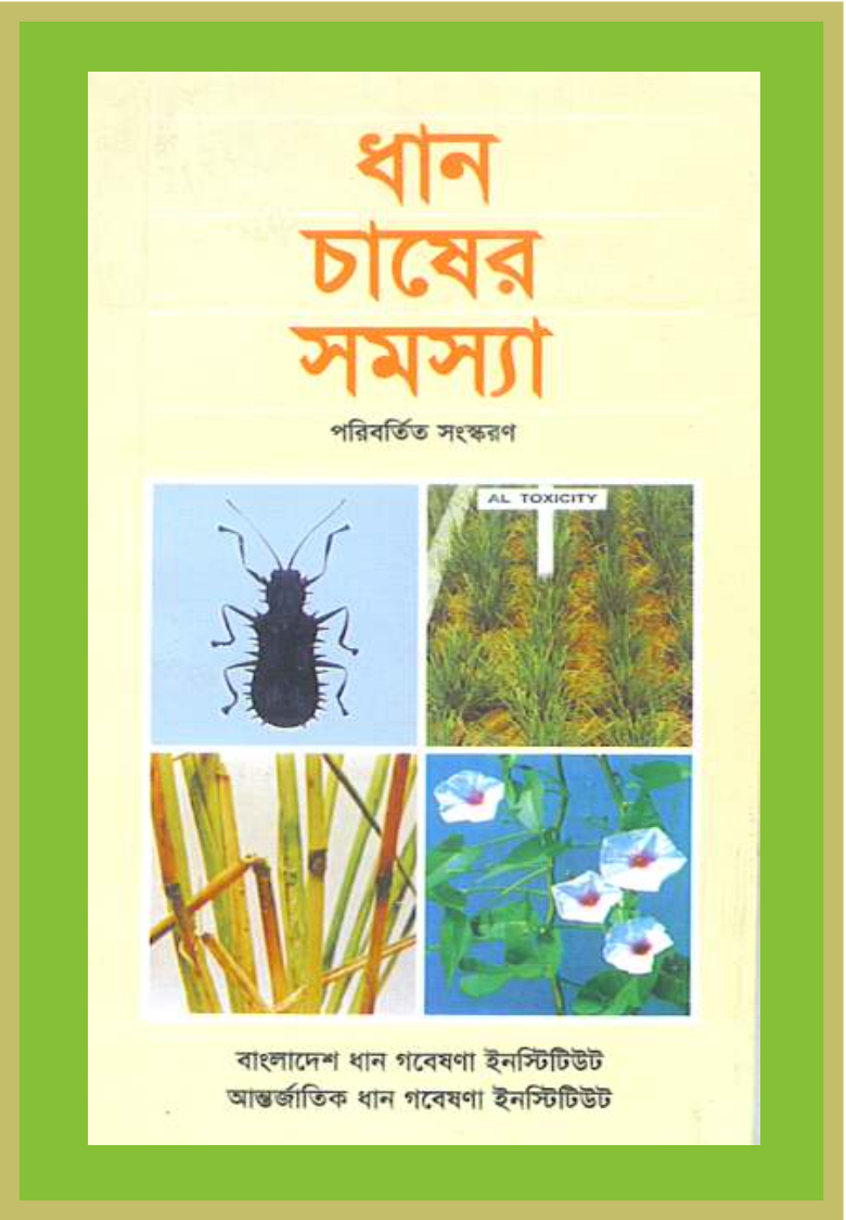 ধান চাষের সমস্যা d